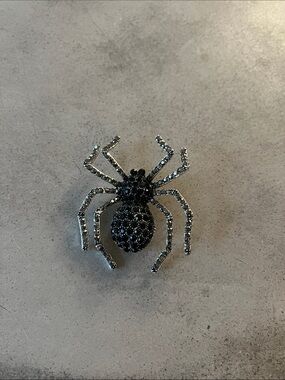 Black Crystal Spider Brooch